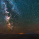 The Milky Way is visible to animals in addition to humans. Dung beetles look for the brightness of the Milky Way in the night sky.