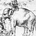 The artist Raphael sketched the pope's elephant around 1514.