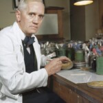 Fifteen years after accidentally discovering penicillin, the first antibiotic, Alexander Fleming helped create synthetic antibiotics to treat soldiers during World War II.