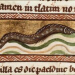 A 14th-century Dutch miniature showing an eel. In the medieval period, some people paid their rent with eels and treated them like currency.