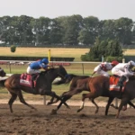 As the horses ran down the stretch during the 2010 Belmont Stakes, it looked to be a
close race – but sports technology could capture 3,000 frames per second to ensure
that the correct horse carried the day. Wikimedia Commons